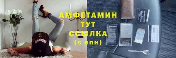 ГАЛЛЮЦИНОГЕННЫЕ ГРИБЫ Абаза