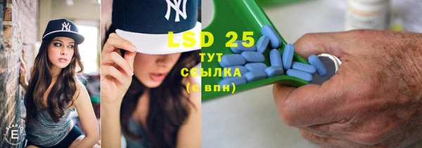 ГАЛЛЮЦИНОГЕННЫЕ ГРИБЫ Абаза