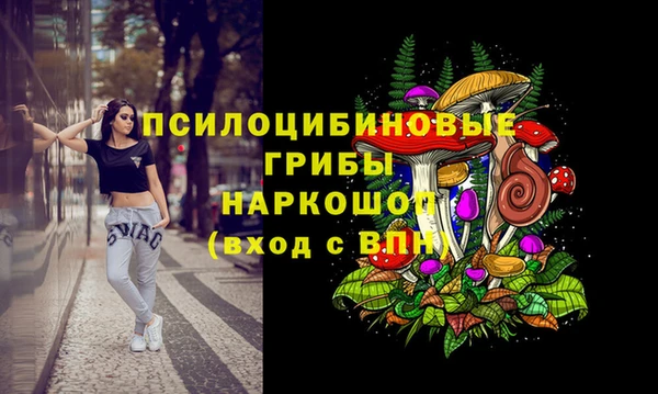 СК Абдулино