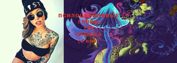 mdpv Покачи